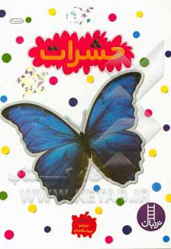 بچسبان و بیاموز 09 حشرات
